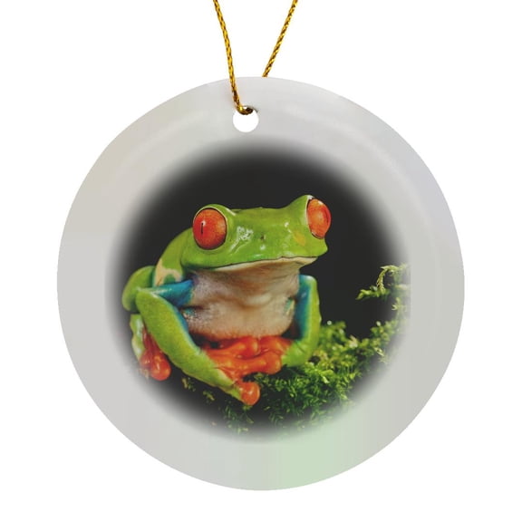 3drose, Red Eye Treefrog, Native to Central America - Na02 Dno0849 - David Northcott, Circle Porcelain Ornament