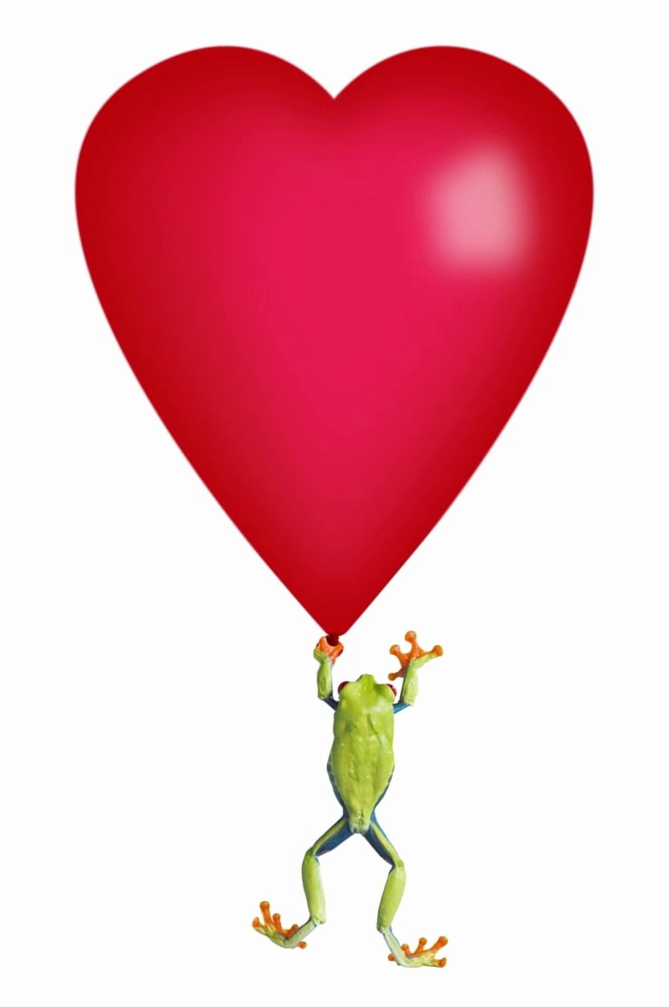 Red-Eyed Tree Frog (Agalychnis Callidryas) Holding A Red Heart Canvas Art - Corey Hochachka Design Pics (11 x 17)