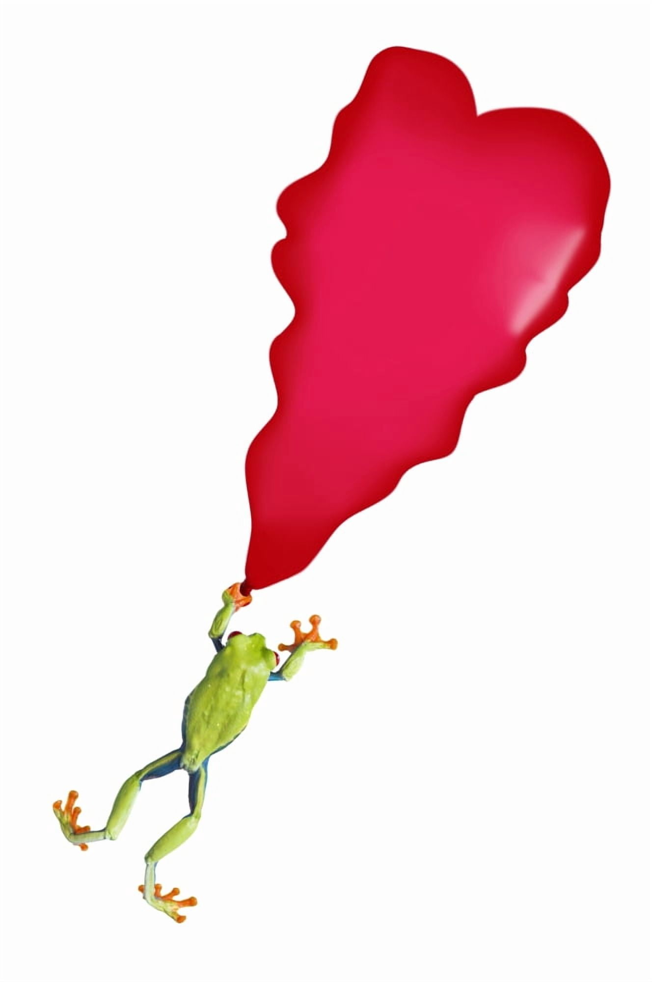 Red-Eyed Tree Frog (Agalychnis Callidryas) Holding On To A Deflating Balloon Canvas Art - Corey Hochachka Design Pics (22 x 34)