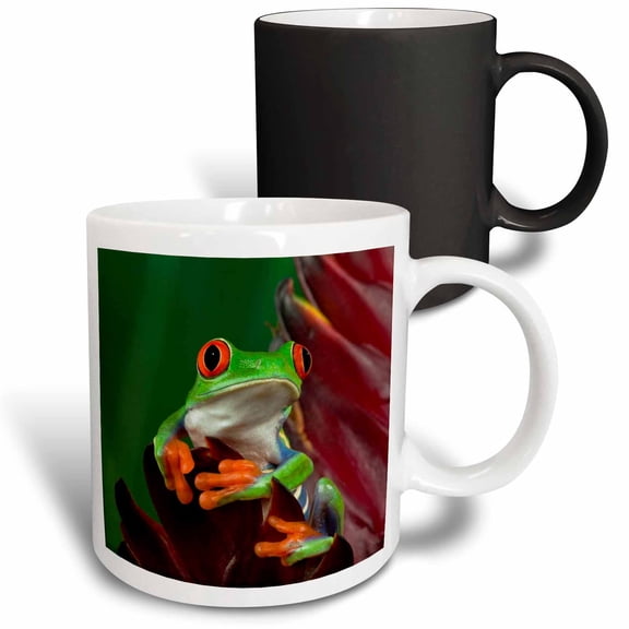3drose, Red-eyed Tree Frog (agalychnis Callidryas) - Na02 Aje0387 - Adam Jones, 11oz Magic Transforming Mug
