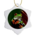 thumbnail image 1 of 3drose, Red-eyed Tree Frog (agalychnis Callidryas) - Na02 Aje0387 - Adam Jones, 3 inch Snowflake Porcelain Ornament, 1 of 7
