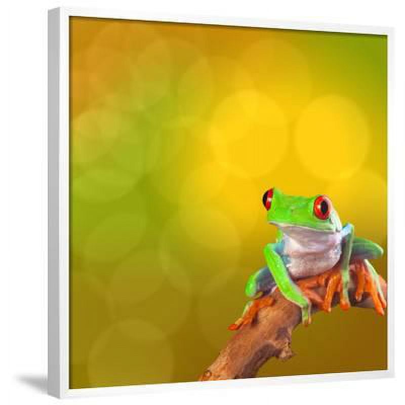 Red Eyed Tree Frog From Costa Rica Rain Forest, Animals Scenic Framed ...