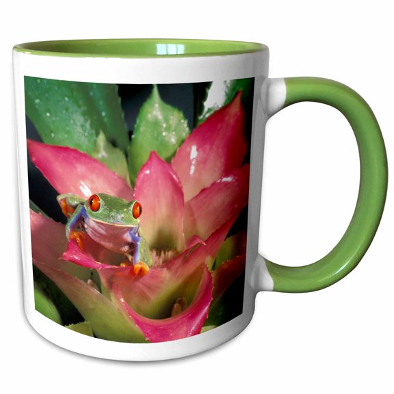 3drose, Red-eyed Tree Frog - Na02 Mwe0140 - Michele Westmorland, 11oz Two-tone Green Mug