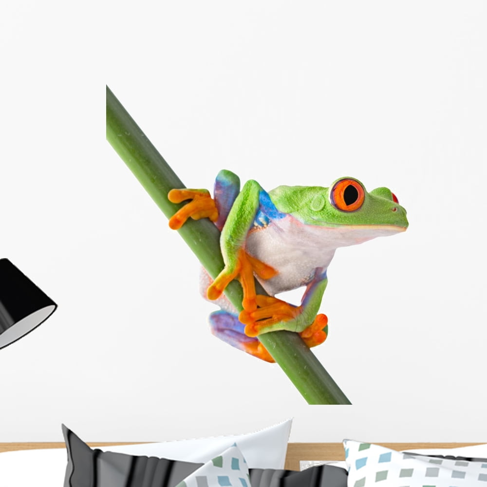 Red Eyed Tree Frog Wall Decal Sticker by Wallmonkeys Vinyl Peel and ...