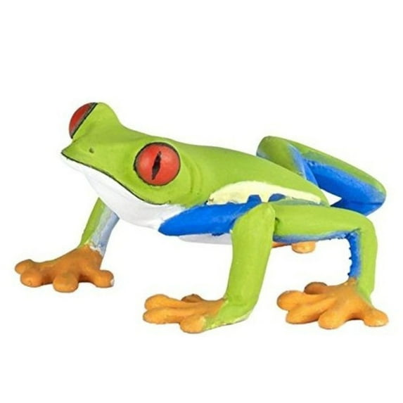 Red-Eyed Tree Frog