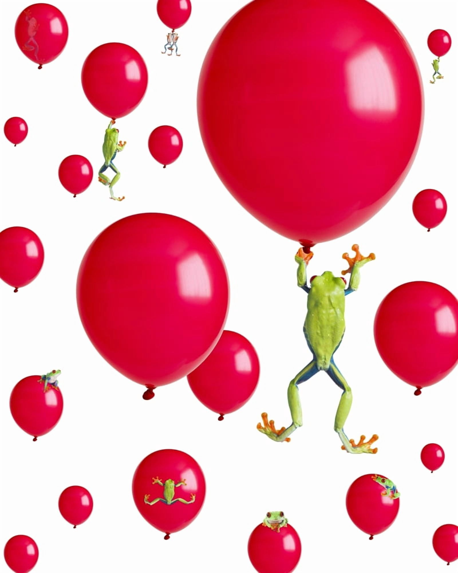 Red-Eyed Treefrogs Floating On Red Balloons Canvas Art - Corey Hochachka Design Pics (26 x 32)