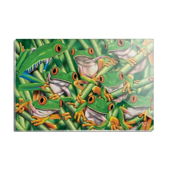 Red Eyed Tropical Rainforest Frogs Rectangle Acrylic Fridge Refrigerator Magnet