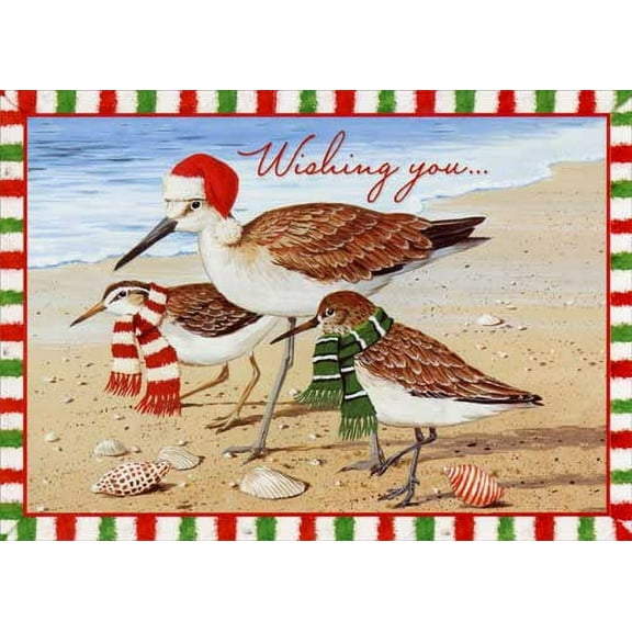 Red Farm Studios Birds with Holiday Attire on Beach Near Shells Box of 15 Coastal Christmas Cards