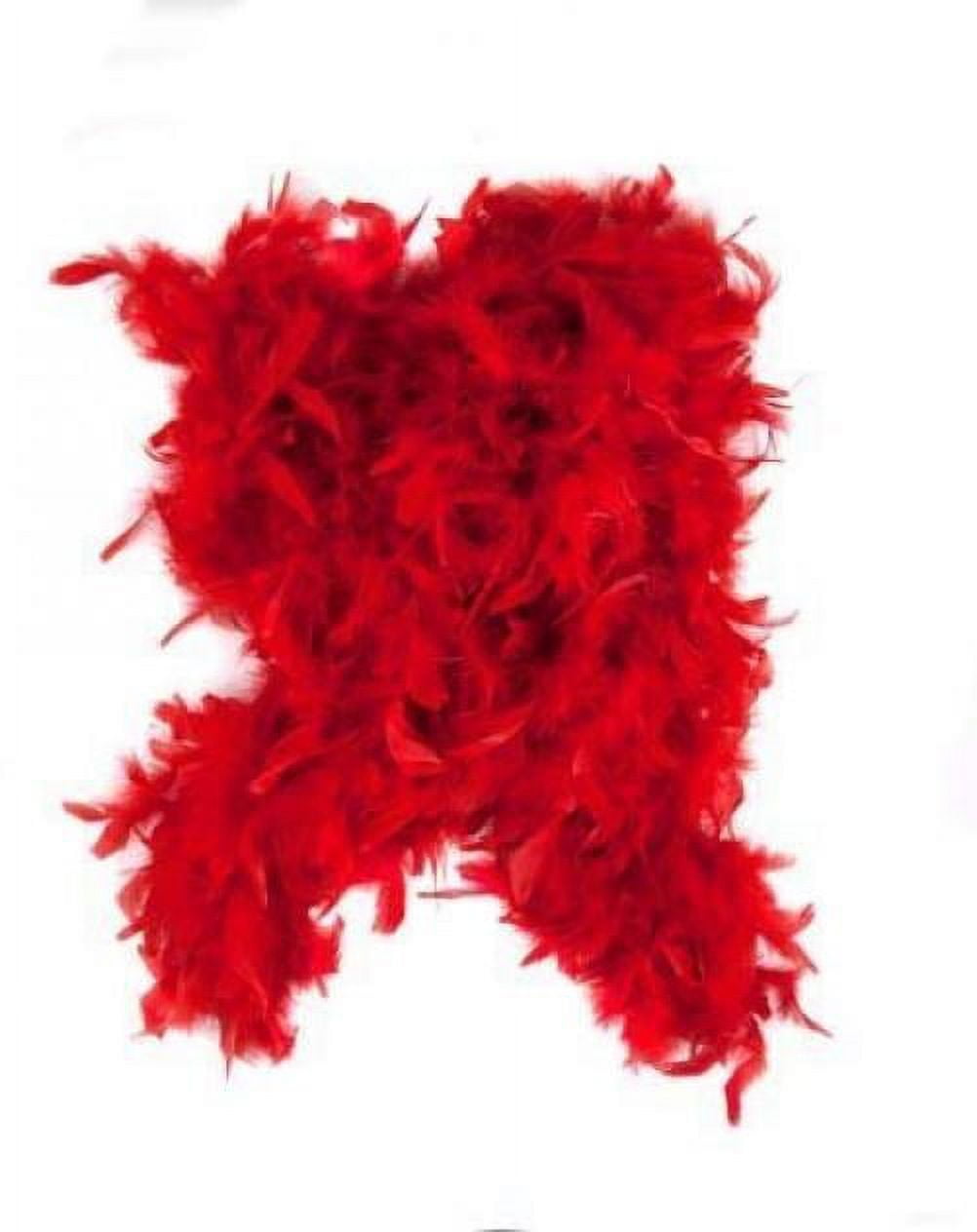 Red Feather Boa by Fun Express