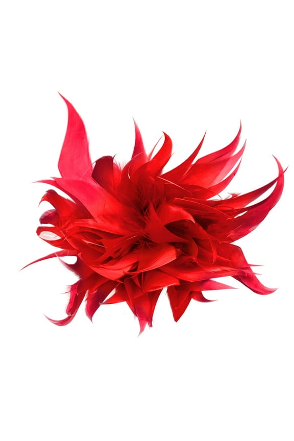 Red Feather Brooch Plume Corsage for Costume, Hair, Hat, Bag & Suit Decoration Fluffy Handmade Feather Jewelry