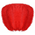 thumbnail image 1 of Red Feathers Natural 8-10inch/20cm-25cm for Crafts Wedding Party Centerpieces and Home Decoration Feathers, 20 Pcs, 1 of 9