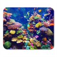 thumbnail image 1 of Red Fiji Coral Reef and Tropical Fish in Sunlight Singapore Aquarium Blue Sea Mousepad Mouse Pad Mouse Mat 9x10 inch, 1 of 3