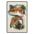 thumbnail image 1 of Red Fish Doormat 24x36, 1 of 1