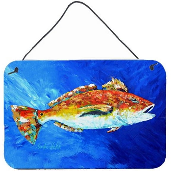Red Fish White Spin Wall or Door Hanging Prints