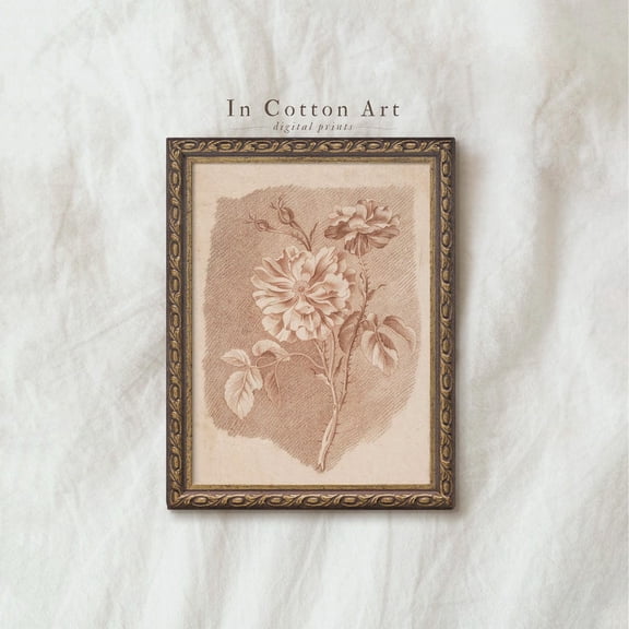 Red Flower Etching Art Vintage Botanical Sketch Wall Decor, Unframed Paper Print