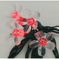 thumbnail image 1 of Red Flower LED Set of 25 Lights Light String, 1 of 3