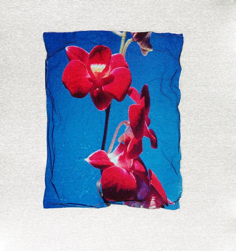 Red Flower With Border Canvas Art - Corey Hochachka Design Pics (26 x 28)