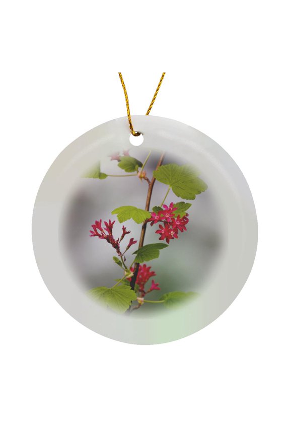 , Red-flowering Currant, Vancouver, British Columbia-cn02 Pcl0118 - Paul Colangelo, Circle Porcelain Ornament