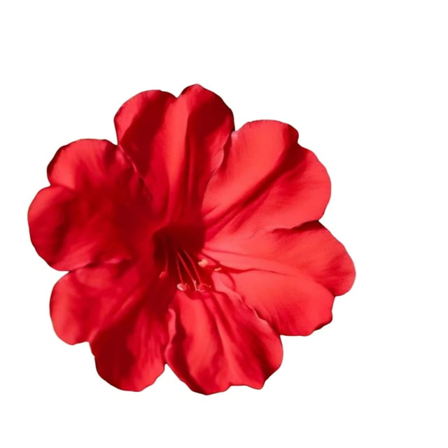 Red Four O'Clock Seeds MMF7 Mirabilis Jalapa Heat and Drought