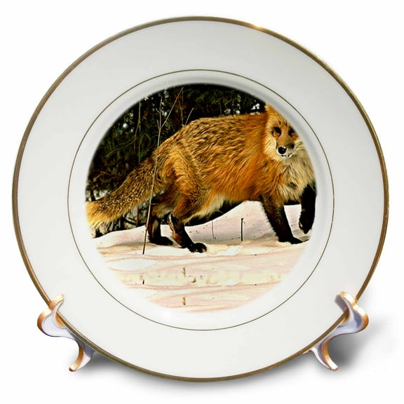 3dRose, Red Fox, 8 inch Porcelain Plate