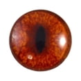 thumbnail image 1 of Red Fox Glass Eyes, 1 of 3