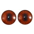 thumbnail image 1 of Red Fox Glass Eyes, 1 of 4