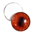 thumbnail image 1 of Red Fox Glass Eyes, 1 of 4