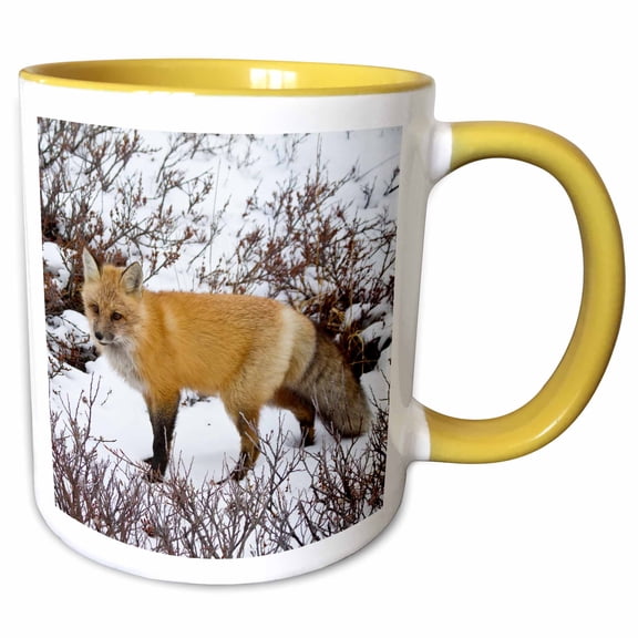 3drose, Red Fox in Winter, Churchill Wildlife Area, Churchill, Mb, Canada., 15oz Two-tone Yellow Mug