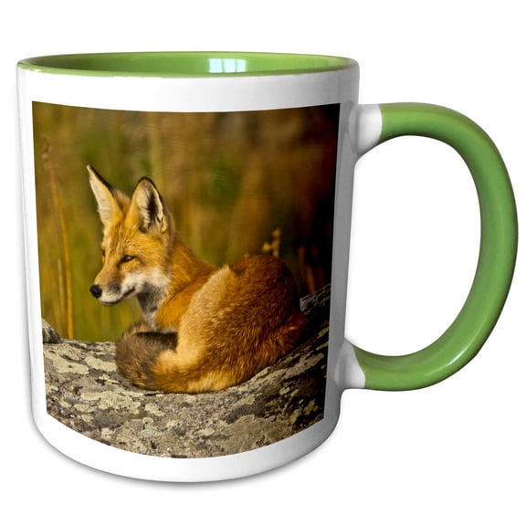 3drose, Red Fox, Lamar Valley, Yellowstone National Park, Wyoming, Usa, 15oz Two-tone Green Mug
