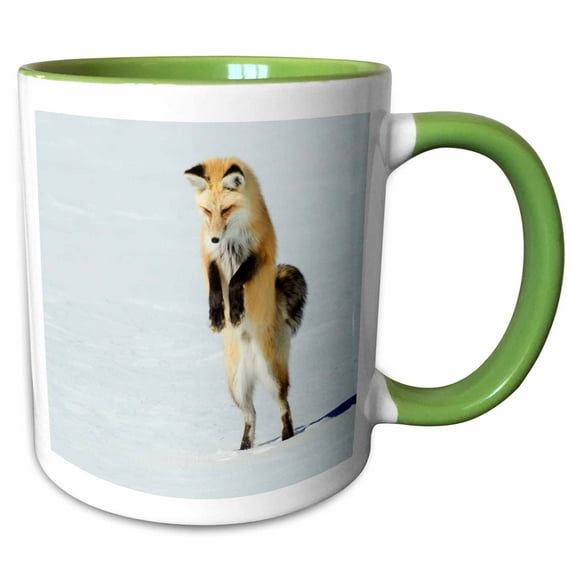 3drose, Red Fox Leaping, 11oz Two-tone Green Mug