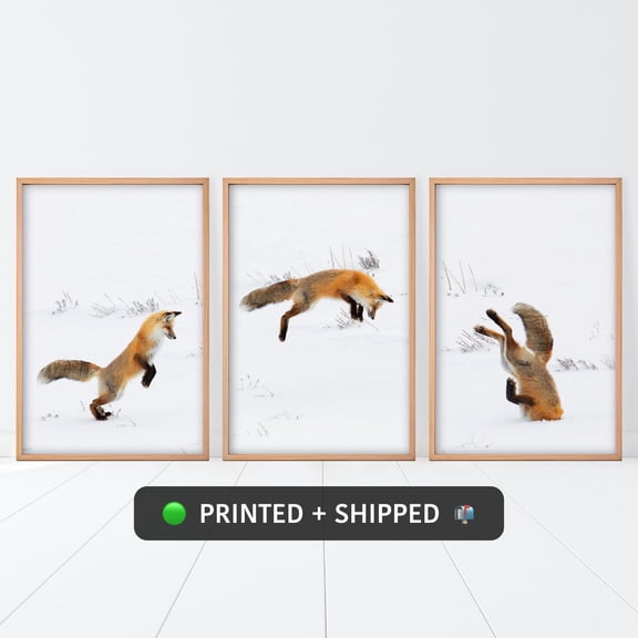 Red Fox Print, Jumping Fox MAILED Poster, PRINTED & SHIPPED 3 Pieces Animal Decor, Fox in Snow Photo, Prints, Nursery Set., Poster Only