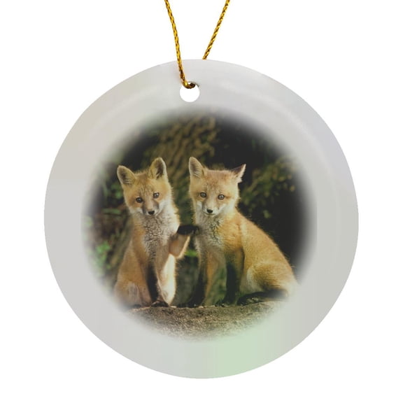 3drose, Red Fox Pup in Front of Den - Na02 Aje0310 - Adam Jones, Circle Porcelain Ornament