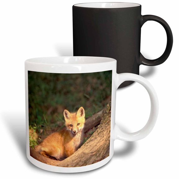 3drose, Red Fox Pup in Front of Den - Na02 Aje0311 - Adam Jones, 11oz Magic Transforming Mug