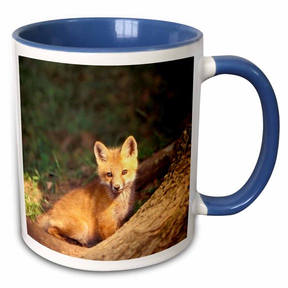 3drose, Red Fox Pup in Front of Den - Na02 Aje0311 - Adam Jones, 11oz Two-tone Blue Mug