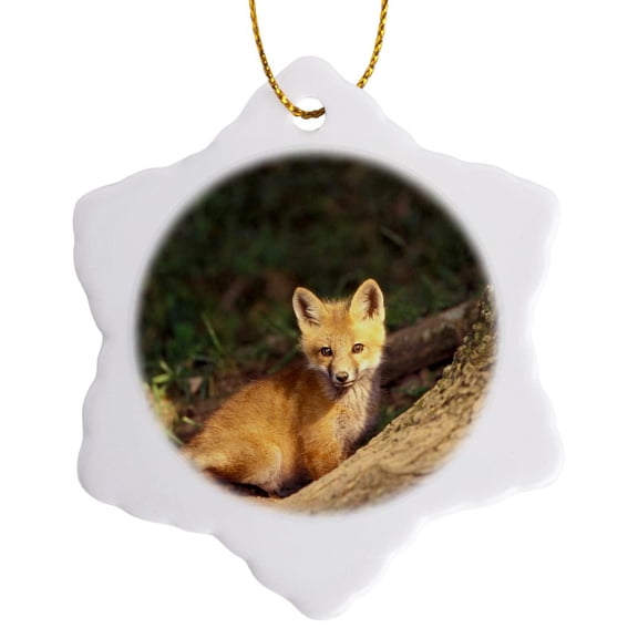 3drose, Red Fox Pup in Front of Den - Na02 Aje0311 - Adam Jones, 3 inch Snowflake Porcelain Ornament