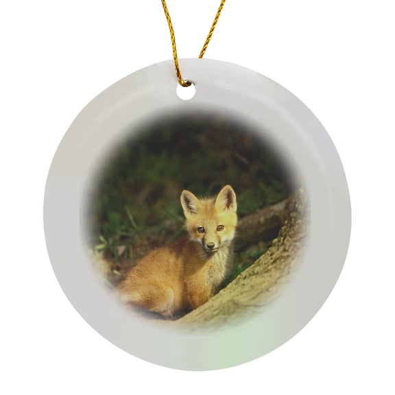 3drose, Red Fox Pup in Front of Den - Na02 Aje0311 - Adam Jones, Circle Porcelain Ornament