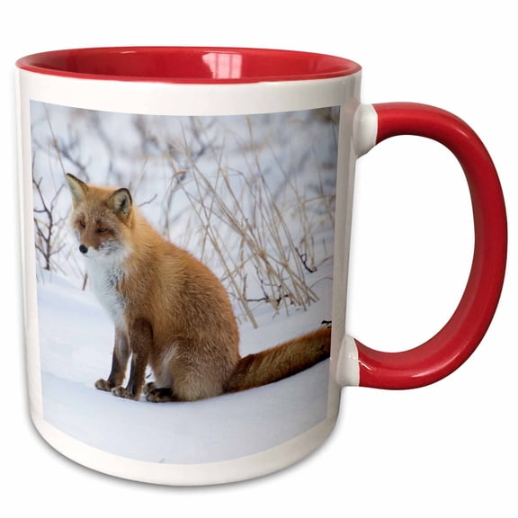 3drose, Red Fox Sitting in Snow, 11oz Two-tone Red Mug