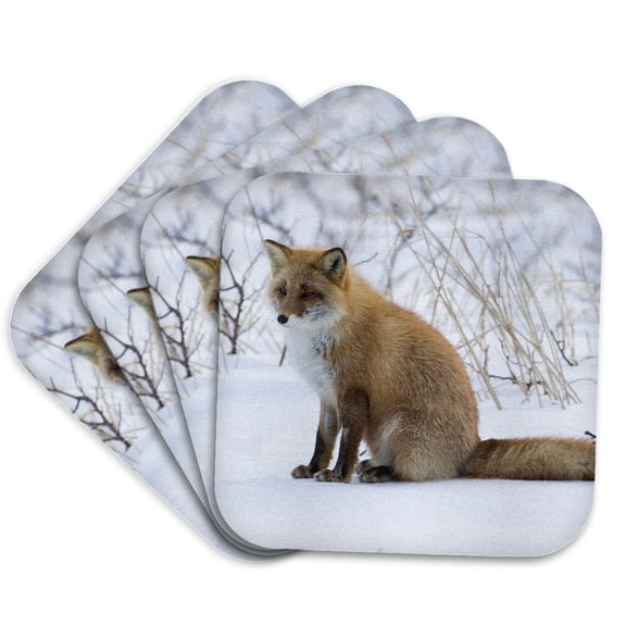 3drose, Red Fox Sitting in Snow, Set of 4 Coasters - Soft