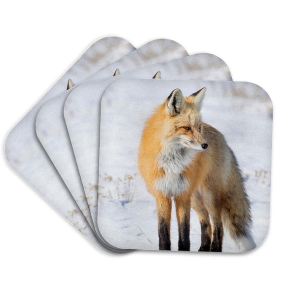 3drose, Red Fox Standing in Snow, Yellowstone National Park, Wyoming, Set of 4 Coasters - Soft
