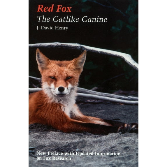 Red Fox : The Catlike Canine (Paperback)