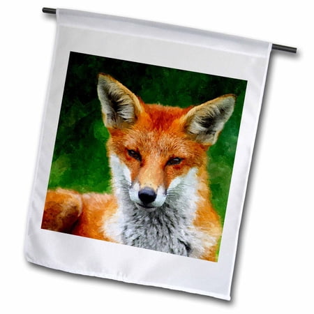 3dRose, Red Fox Watercolor Painting from a photo courtesy of Keven Law., 18 x 27 inch Garden Flag