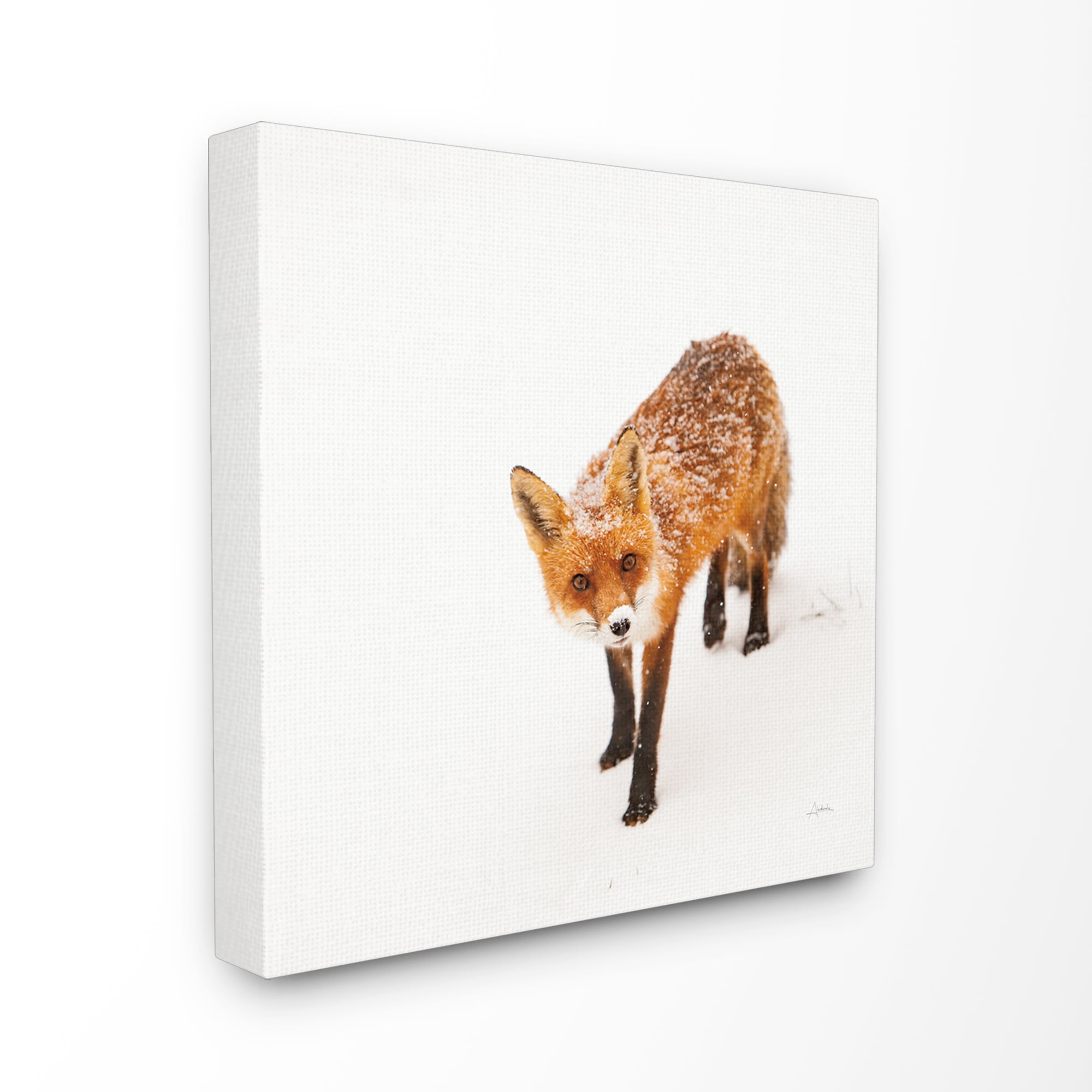 Red Fox Winter Snow Animal 30 in x 30 in Photography Canvas Art Print, by Stupell Home Décor