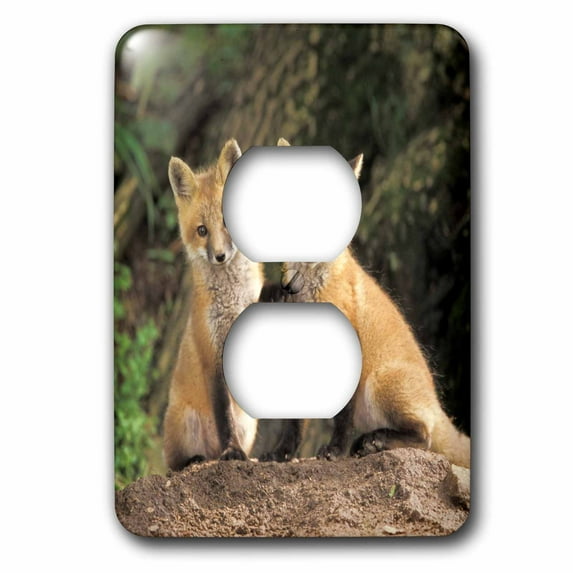 3dRose, Red Fox pup in front of den - NA02 AJE0310 - Adam Jones, 2 plug outlet cover