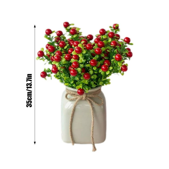 Red Fruit Arrangement For Central Of Home And Desks