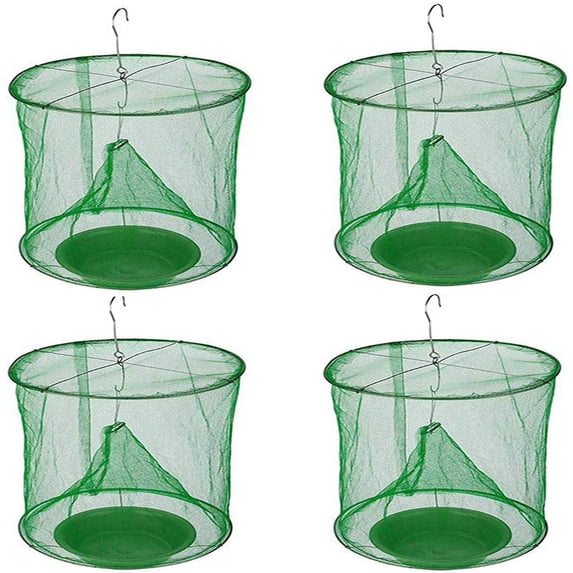 Red Fruit Fly Flycatcher Top Catcher Fly Insect Catcher
