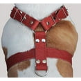 thumbnail image 1 of Red Genuine Leather Dog Harness Large. 30"-35" Chest size, 1.5" Wide Straps Pitbull, Cane Corso, 1 of 2