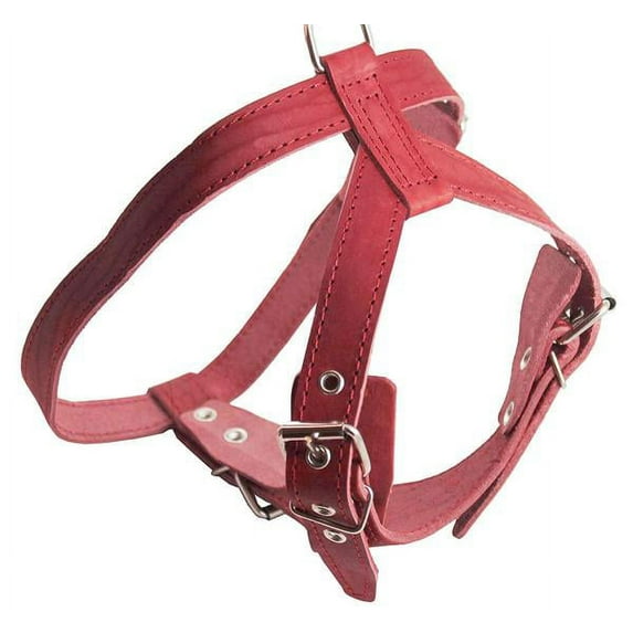 Red Genuine Leather Dog Harness, Medium. 25"-30" Chest, 1" Wide Adjustable Straps, Amstaff