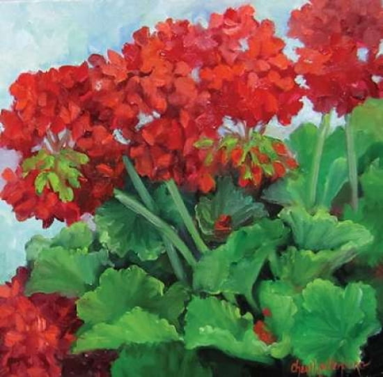Red Geraniums Canvas Art - Cheri Wollenberg (24 x 24)