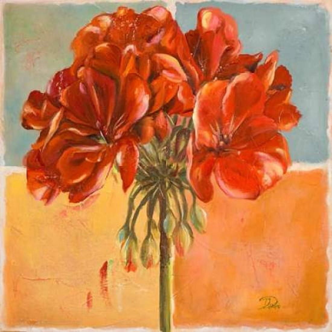 Red Geraniums I Canvas Art - Patricia Pinto (24 x 24)