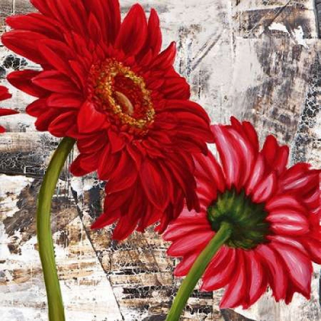 Red Gerberas III Canvas Art - Jenny Thomlinson (24 x 24)